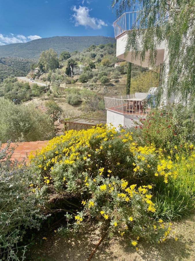 Apartamento Ses Terrasses Cadaqués Exterior foto